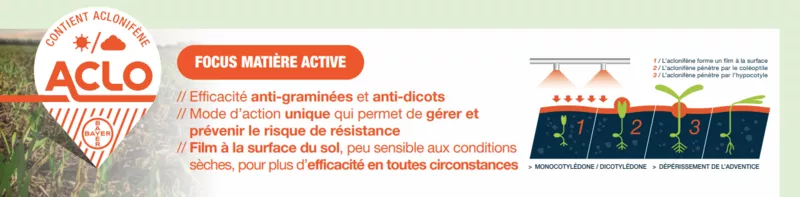 des-lautomne-prochain-je-seme-je-desherbe-des-la-prelevee-avec-mateno_Rich_Text_Editor_5.png