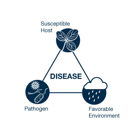 Disease triangle host pathogen environment