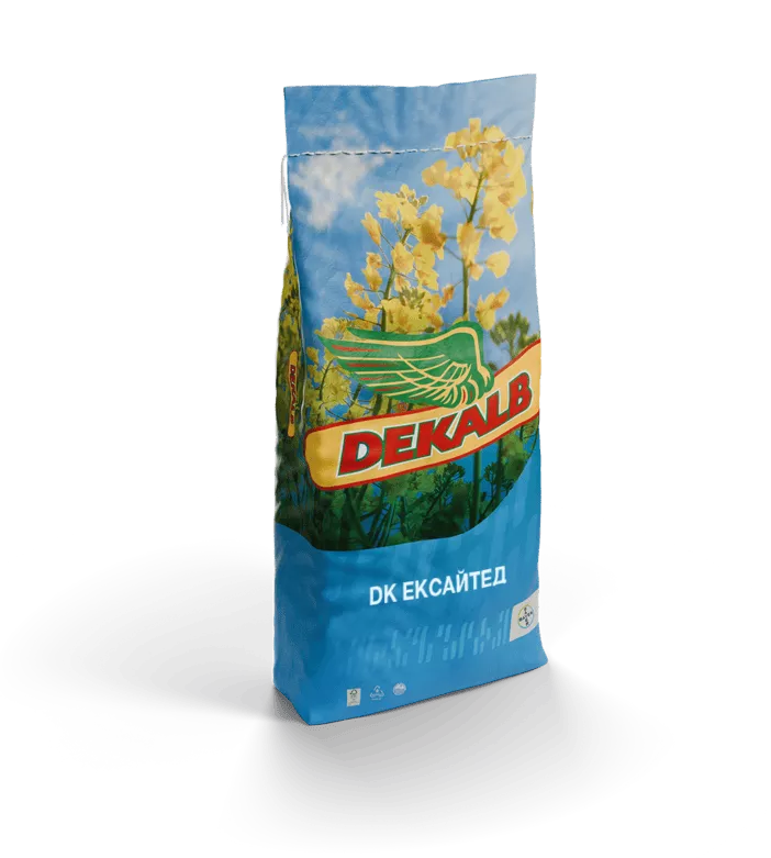 dk-eksajted_mainImage