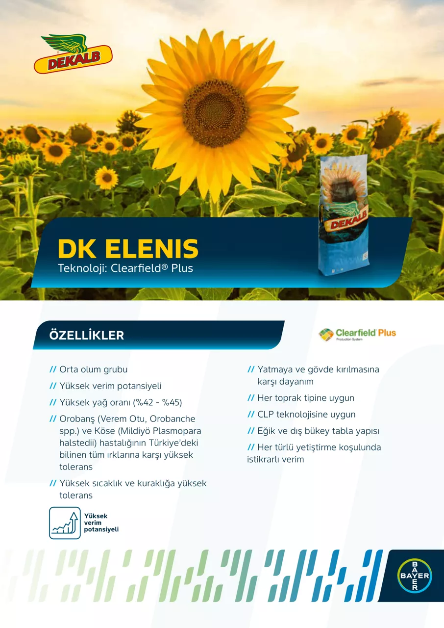 DK Elenis