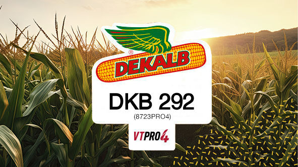 DKB 292 PRO4 (8723PRO4)