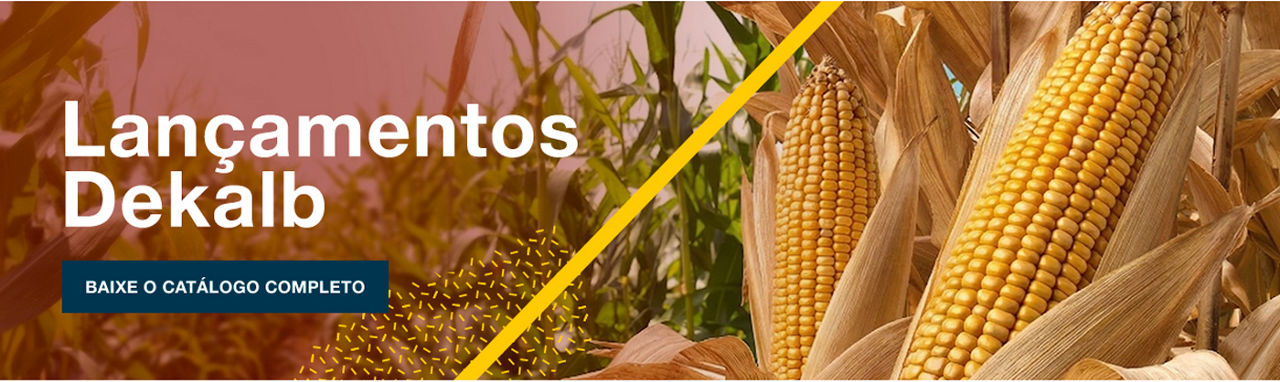 Lançamentos Dekalb. Baixe o catálogo completo.