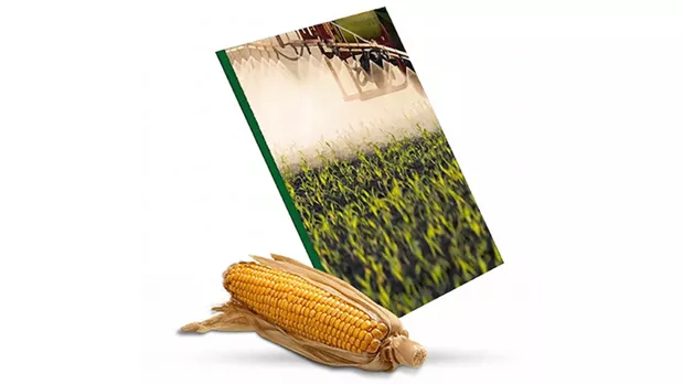 Feature Section Image