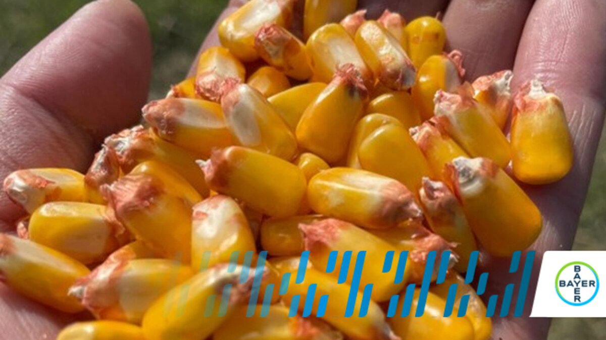 dkc6845