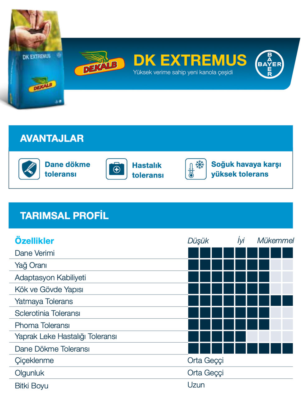 DK extremus