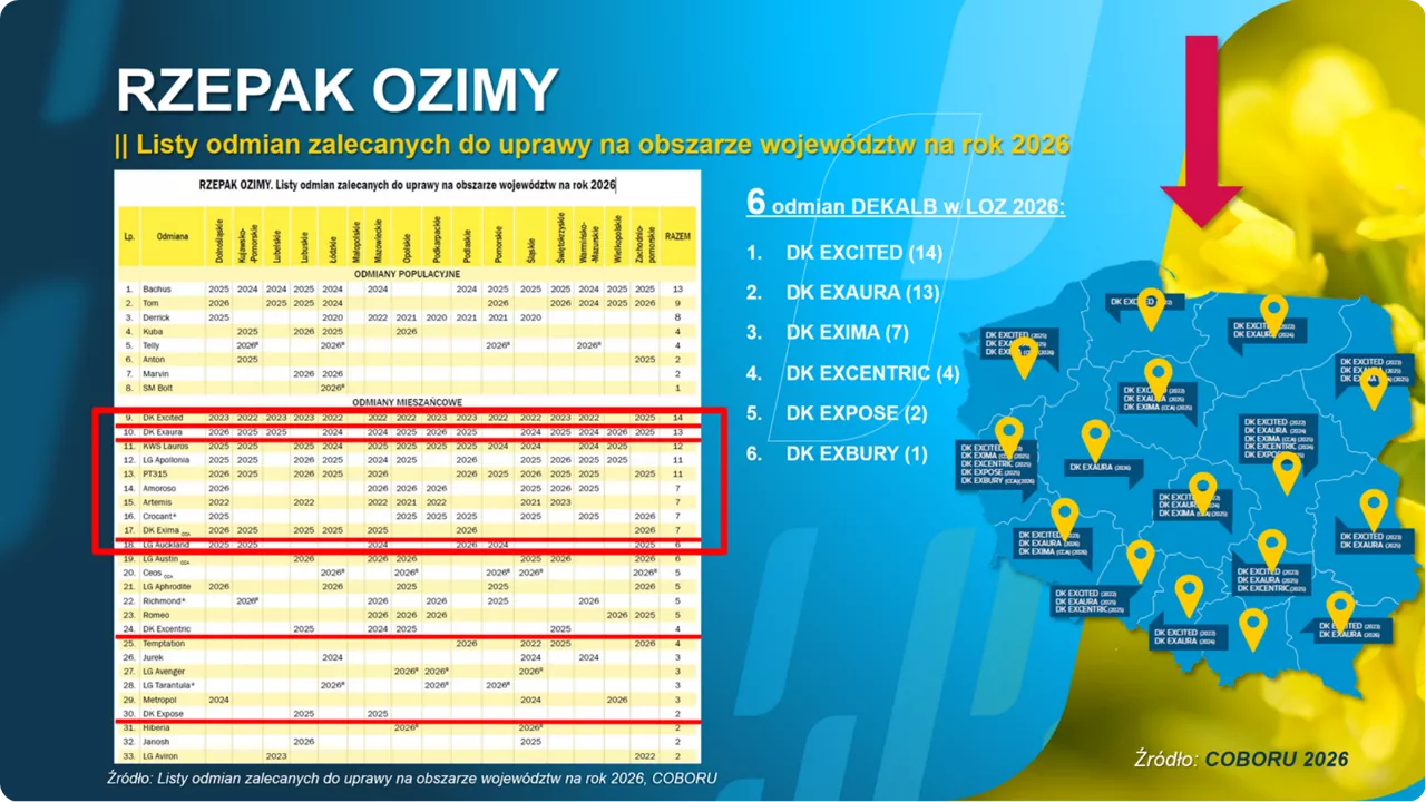 tabela odmian polecanych dk excited