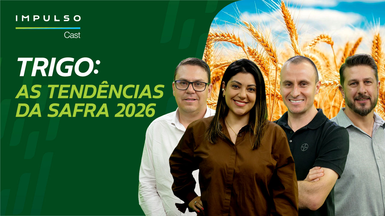 Do campo ao resultado: o futuro da cultura do trigoementes industrial e proteção inicial da lavoura