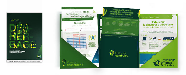 dossier-dexpertise-pour-un-desherbage-efficace-et-durable-dans-la-rotation_Rich_Text_Editor.jpg