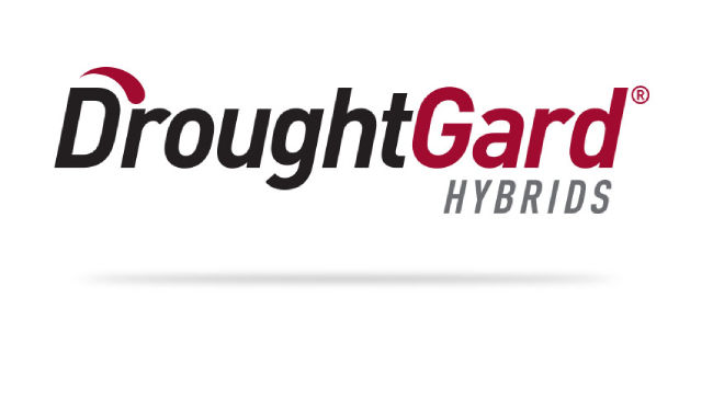 Promo Tools of Maximize Yield Potential in Drought Conditions