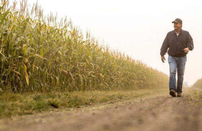 Promo Tools of Maximize Yield Potential in Drought Conditions