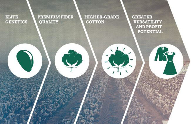 Promo Tools of Increased Fiber Quality, Increased Opportunity