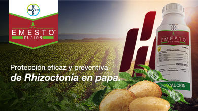 Emesto