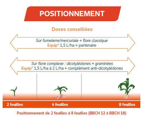 equip-une-solution-herbicide-mais-de-post-levee_rcih_text_editor_6.jpg
