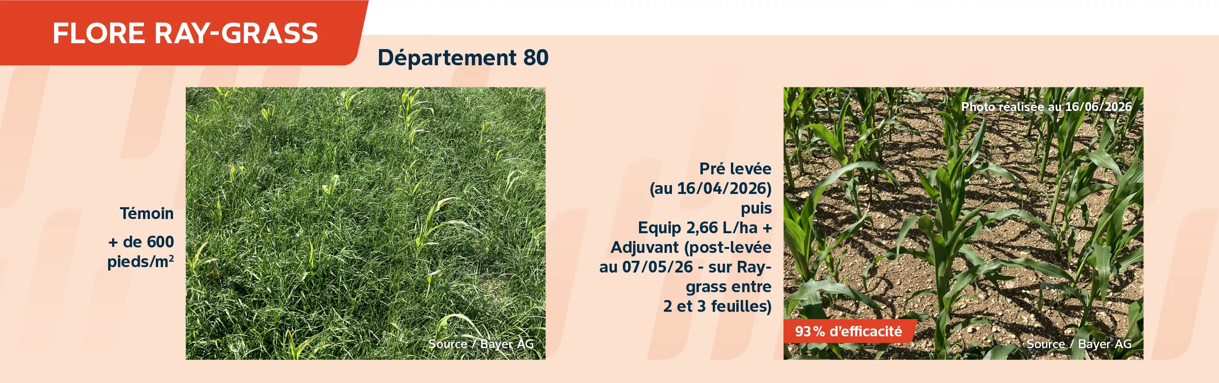 equip-une-solution-herbicide-mais-de-post-levee_rich_text_editor_3.png