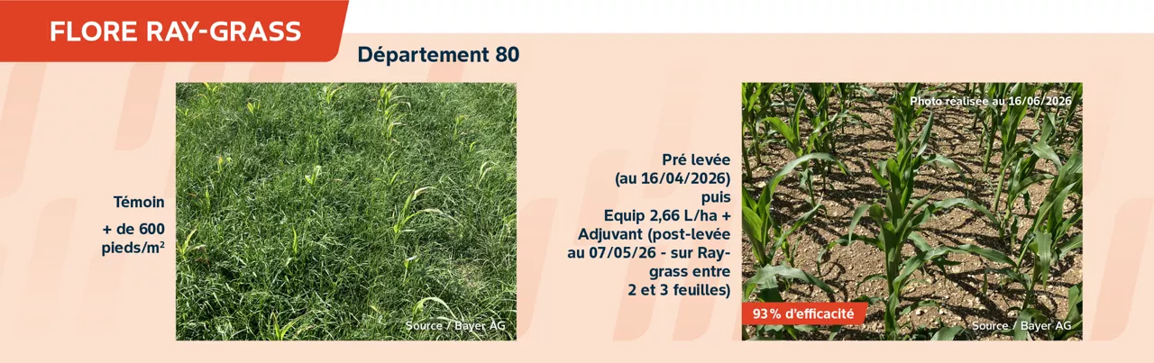 equip-une-solution-herbicide-mais-de-post-levee_rich_text_editor_3.png