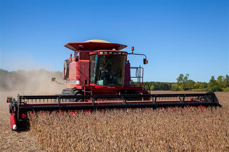 A blue sky in the background with a red combine harvester harvesting soybeans. 