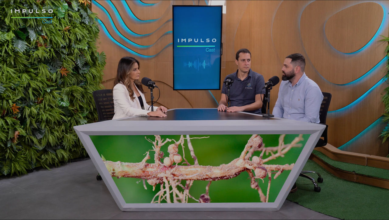 Especialistas da Bayer explicam como a agricultura digital, aliada a soluções inovadoras como o Verango Prime, são determinantes para o controle eficaz de nematoides na soja.