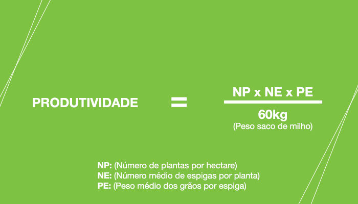 •	Produtividade = (Número de plantas por hectare x número médio de espigas por planta x peso médio dos grãos por espiga) / 60 kg (peso do saco de milho).