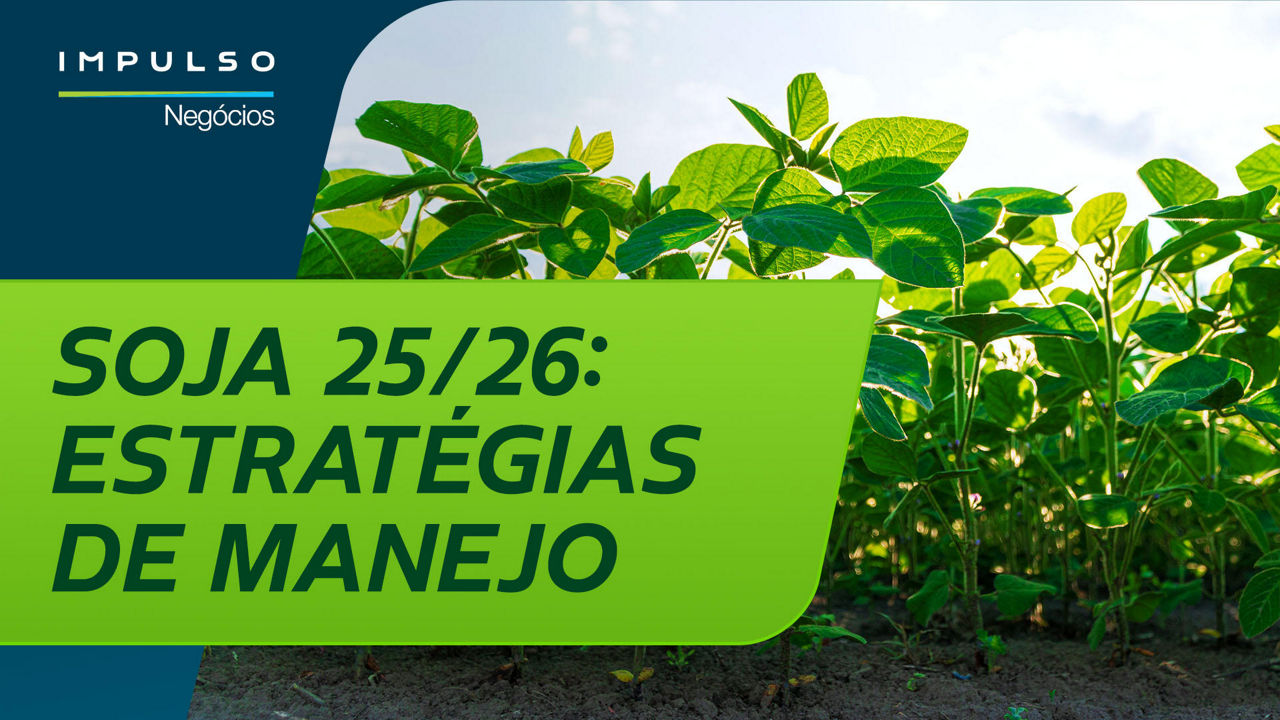 Estratégias de manejo para alta produtividade na soja 2025/26