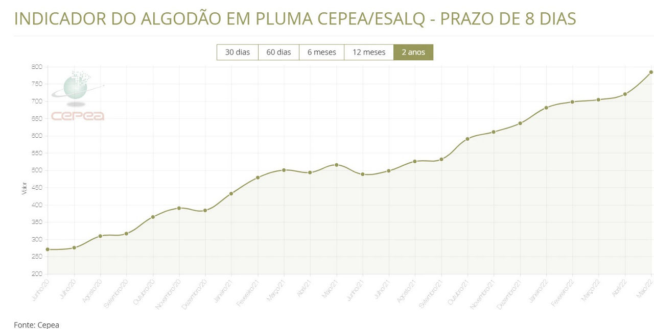 Indicador do algodão em pluma cepea/esalq - prazo de 8 días