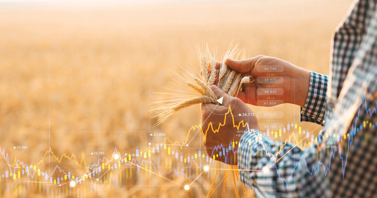 A person in a checkered shirt holds a bundle of wheat stalks in both hands, standing in a vast wheat field. Overlaid on the image are financial graphs and charts, symbolizing agricultural data analysis and farm profitability. 