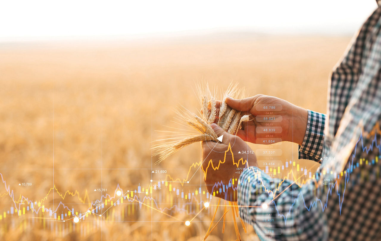 A person in a checkered shirt holds a bundle of wheat stalks in both hands, standing in a vast wheat field. Overlaid on the image are financial graphs and charts, symbolizing agricultural data analysis and farm profitability. 