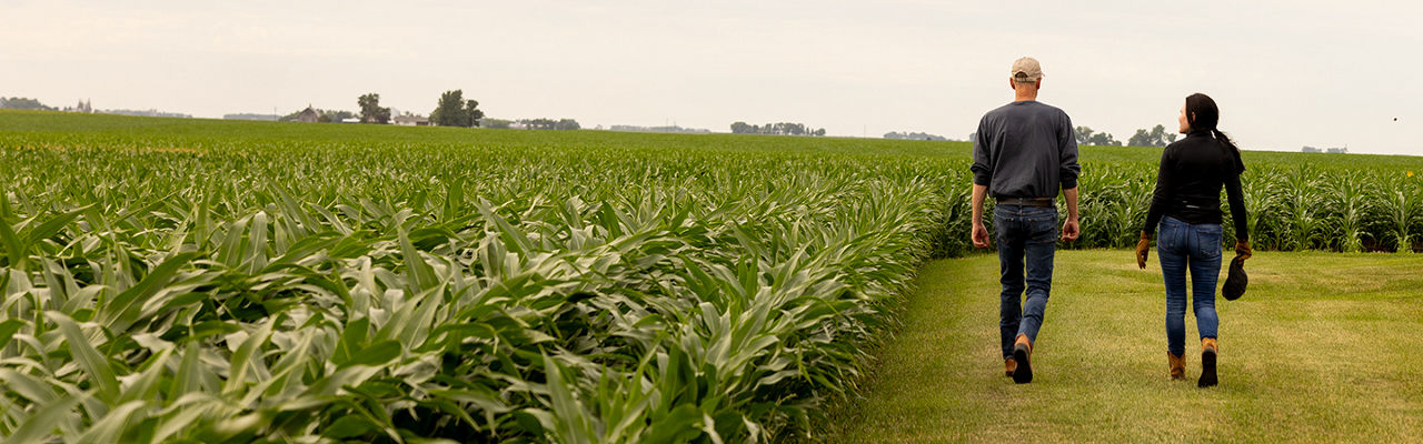 Two farmers walking by a crop field for Field Check Up Series