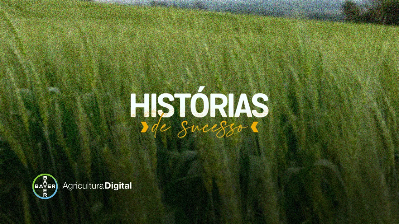 Na fazenda da família Ruthes, é momento de acompanhar de perto o desenvolvimento da lavoura de trigo