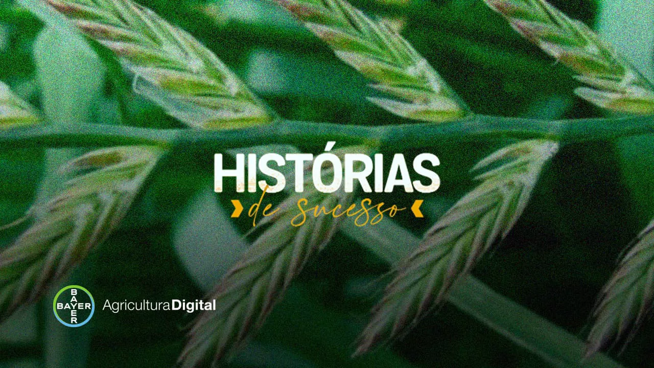 Azevém leva dor de cabeça para produtores de culturas como trigo, soja, milho, aveia e cevada