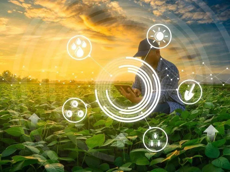 As tecnologias da agricultura 4.0 permitem gerar diferentes dados no dia a dia da lavoura