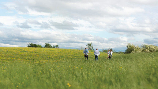 Three generations of a family walking away from the camera into a field