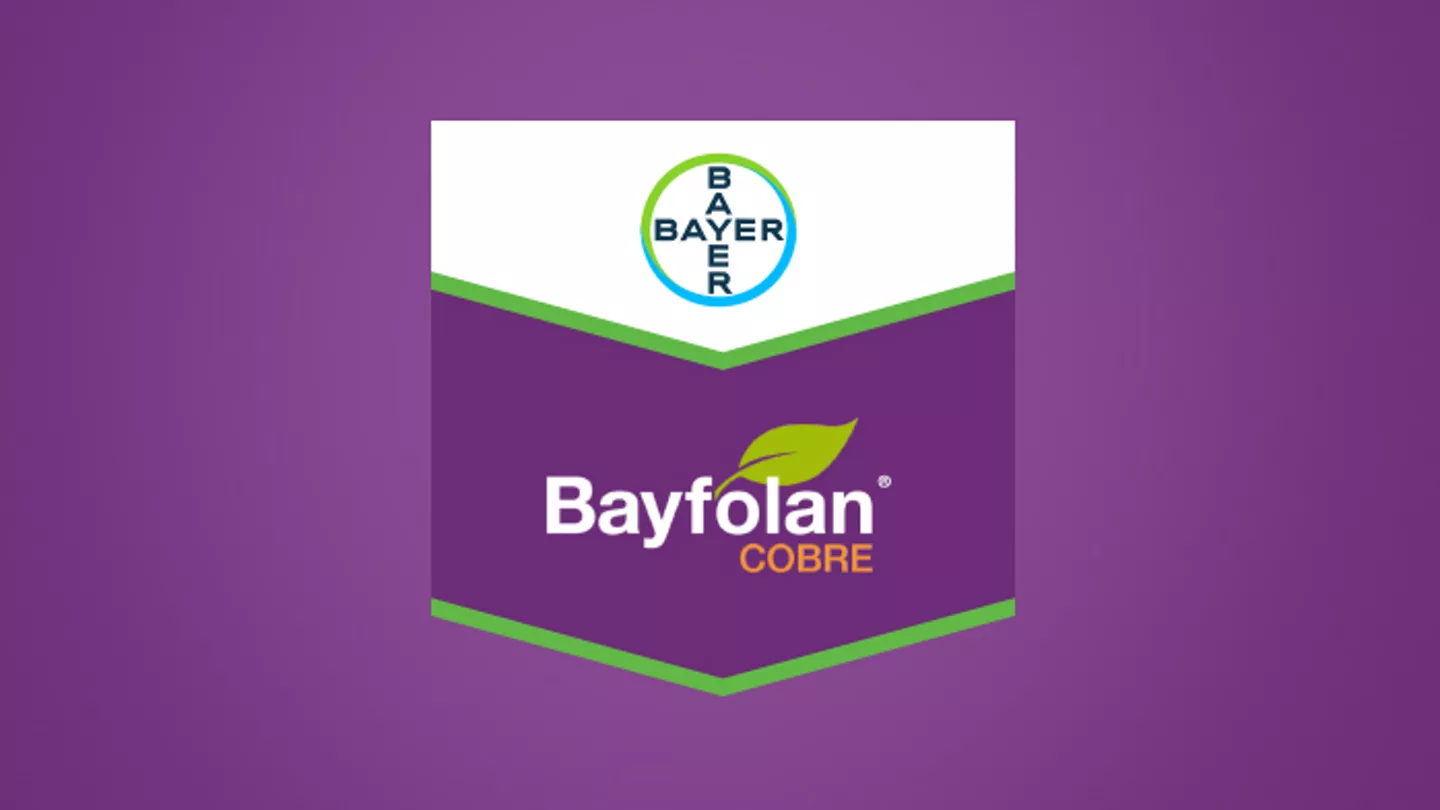 Promo Tools of Bayfolan® Cobre