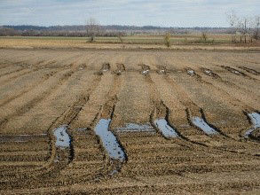  Harvesting or field work under wet conditions can lead to soil compaction.