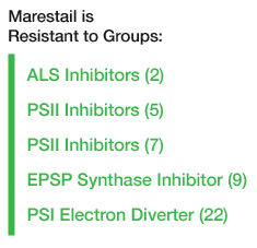 marestail is resistant to als inhibitors psii inhibitors ps ii inhibitors epsp sythase inhibitors psi electron diverter