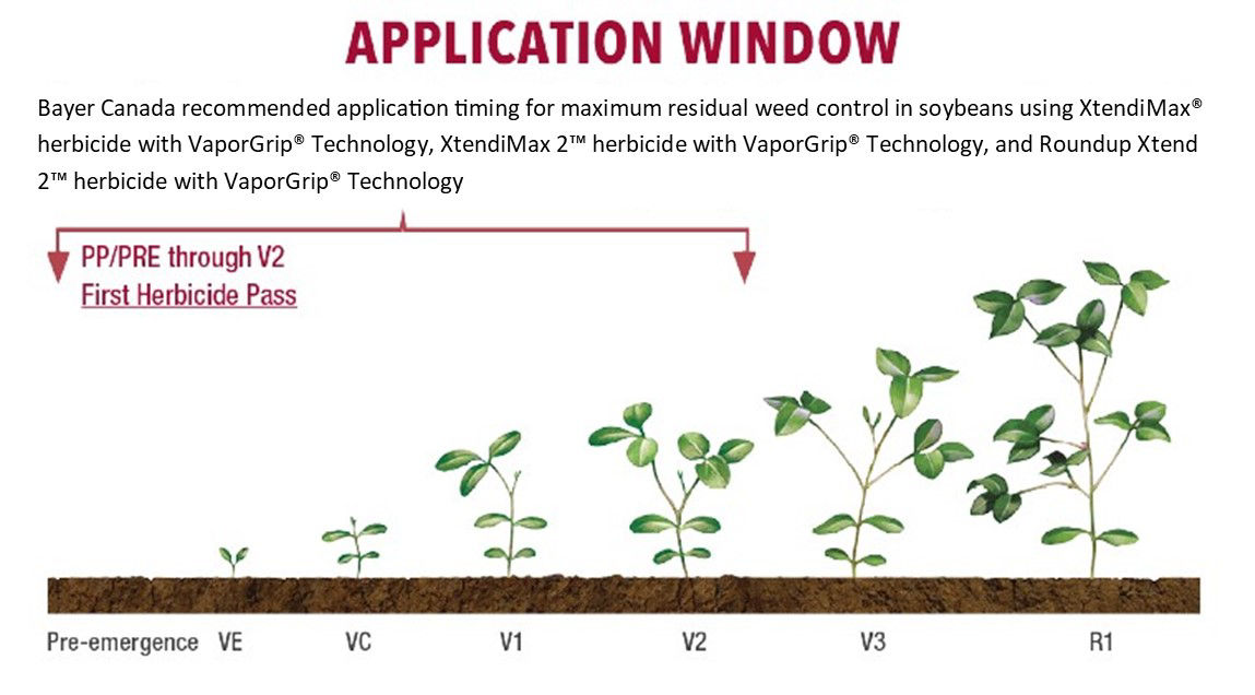 A visual reference describing the application window starting at pre-emergence and covering subsequent stages up to and including V2. Stages V3 and V4 are outside of the application window.