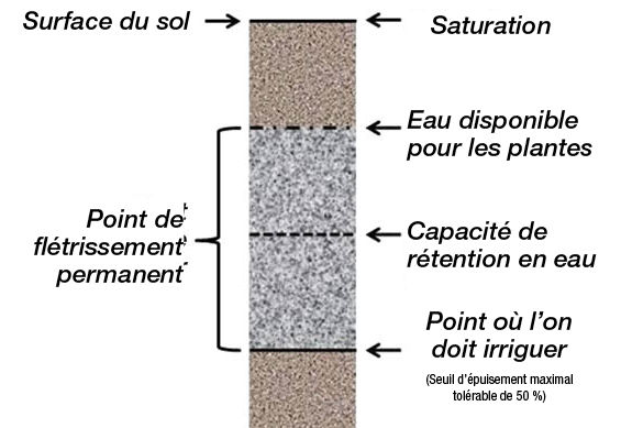 Teneur en eau du sol.
