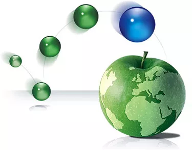 food-chain_Text_Rich_Editor_1.png