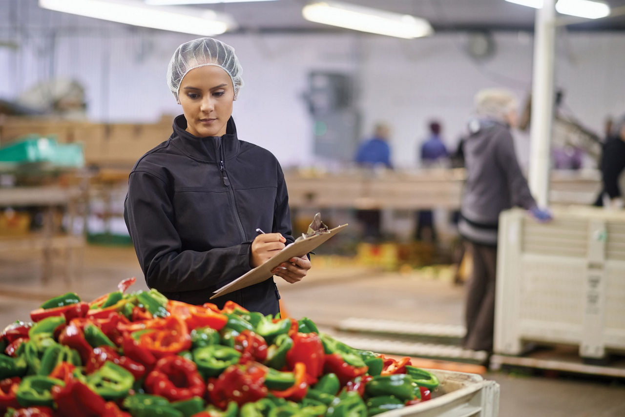 A food inspector holding a clipboard and pen, standing in front of a large pile of assorted red and green bell peppers. The background shows an indoor facility with other workers and equipment, indicating a food processing or inspection area.