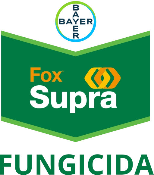 Fox Supra