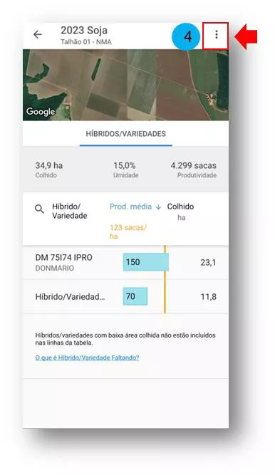 limite de talhão