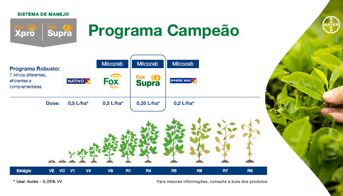 Programa Campeão