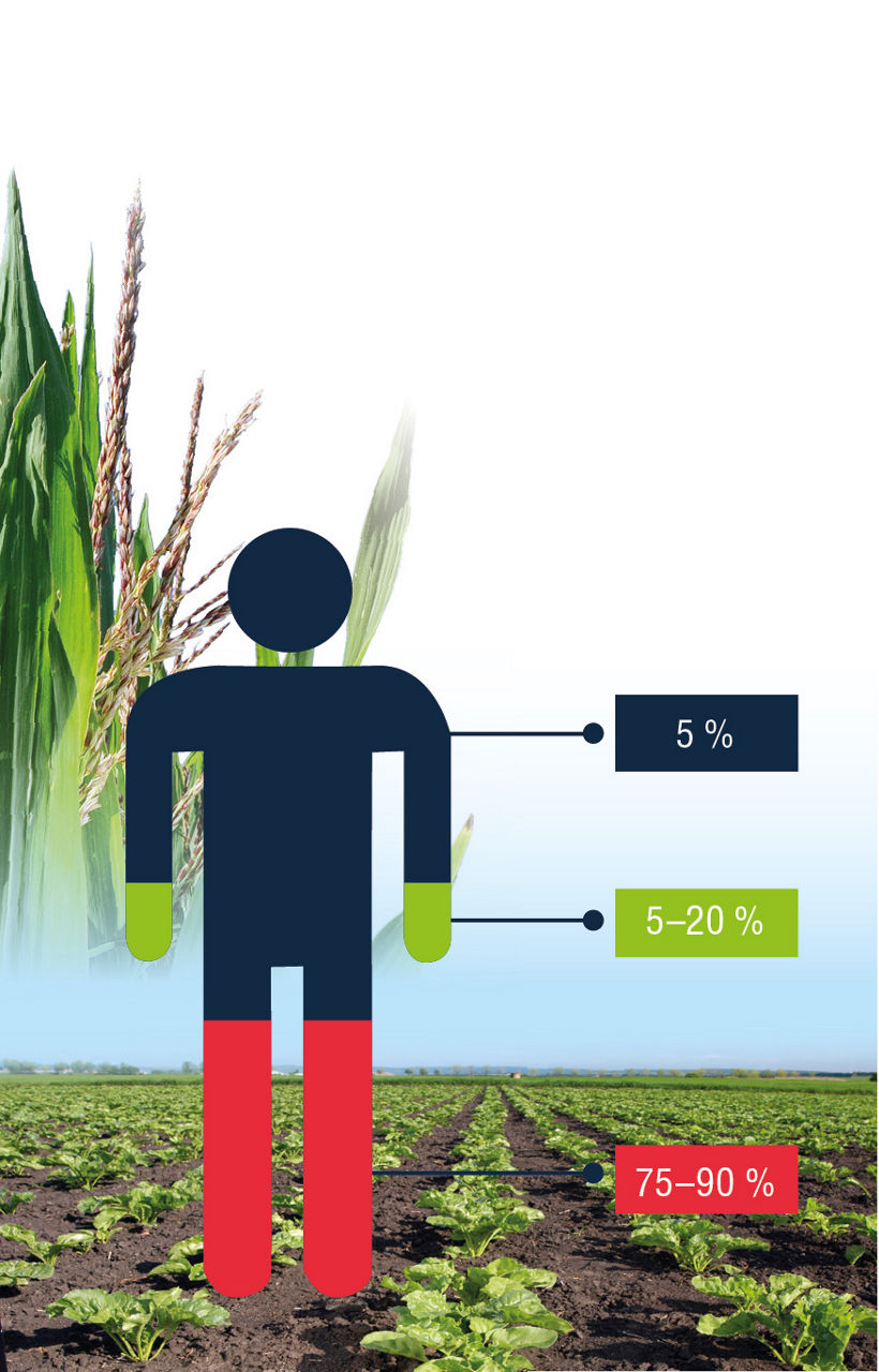Fungicidní ochrana cukrovky a kukuřice CCPA a SUI prospekt A4 2020.indd