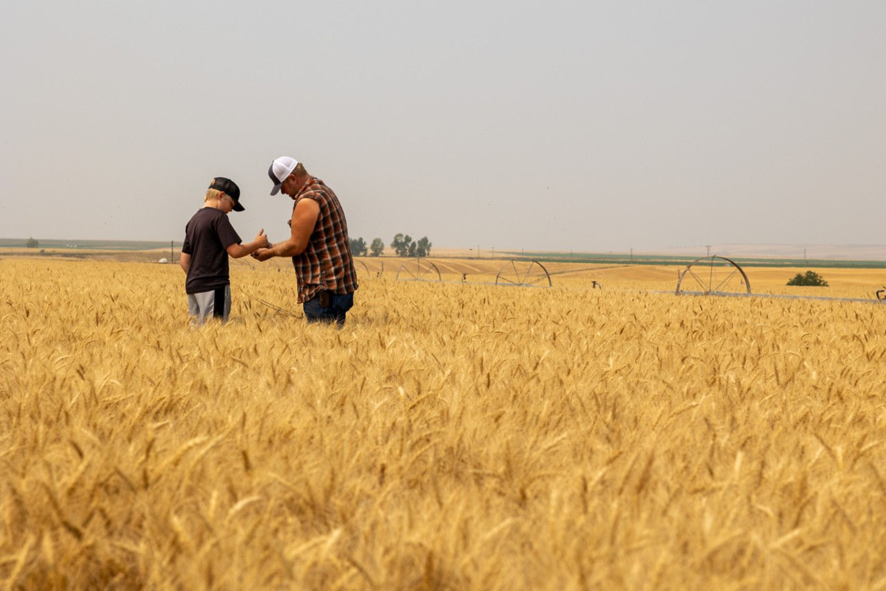 Passing Down the Family Farm