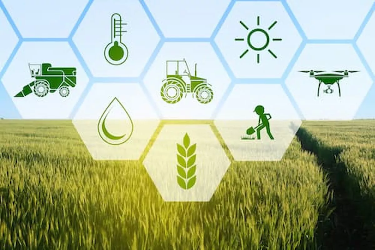 agricultura digital melhora a gestão da lavoura 