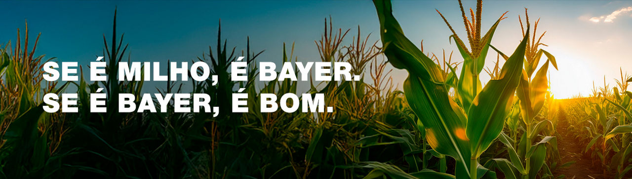 Se é milho, é Bayer. Se é Bayer, é bom.