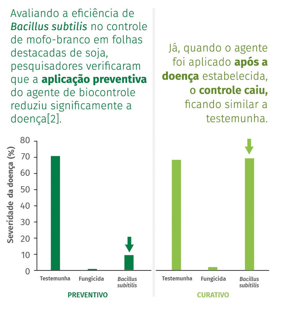 Avaliando a eficiência de Bacillus subtilis no controle de mofo-branco em folhas destacadas de soja, pesquisadores verificaram que a aplicação preventiva do agente de biocontrole reduziu significamente a doença[2]. Já, quando o agente foi aplicado após a doença estabelecida, o controle caiu, ficando similar a testemunha.