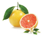 grapefruit