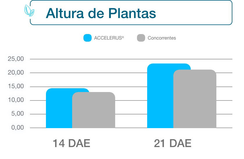 Altura de Plantas