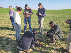 a group of farmers inspecting a field