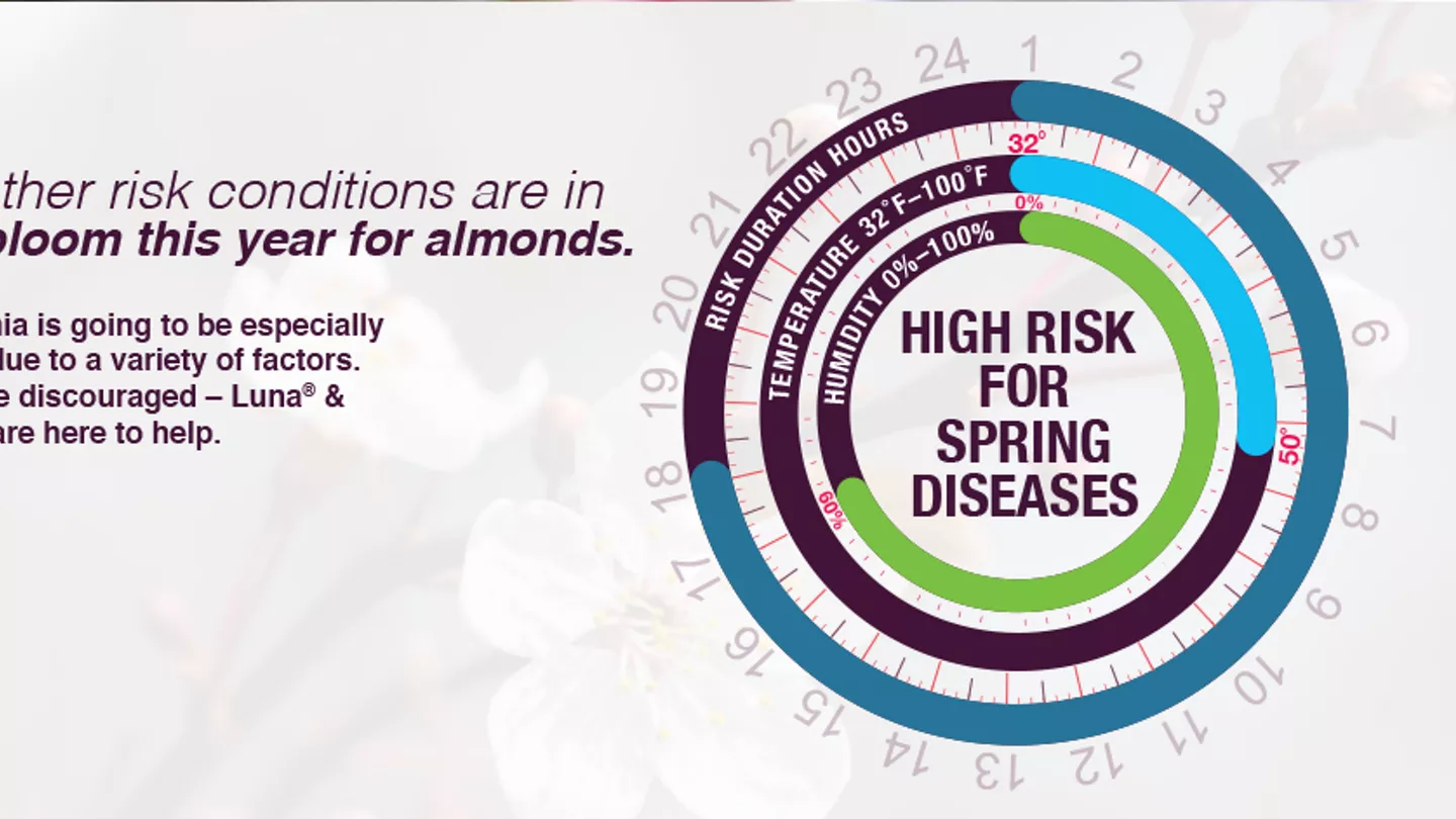 Spring Almond Disease Risk
